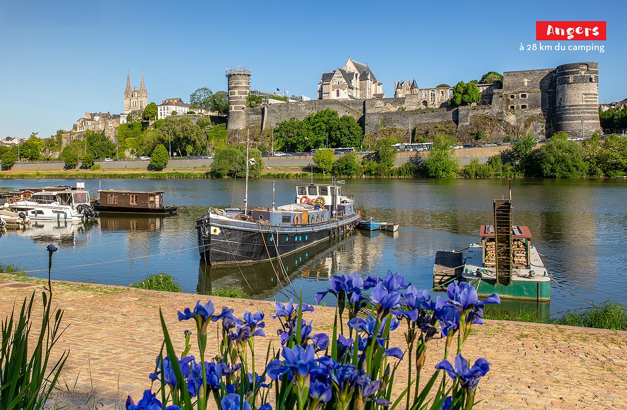 Ch�teau d'Angers et cath�drale Saint-Maurice, ville historique � visiter pr�s du camping.